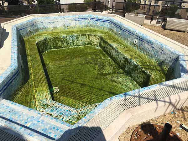 Photo renovation piscine avant travaux